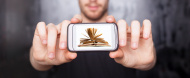 digital-book-on-smartphone